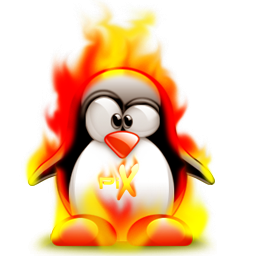 penguin pingouin pinguino 163